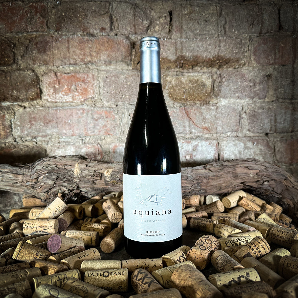 Merayo - Aquiana Mencia