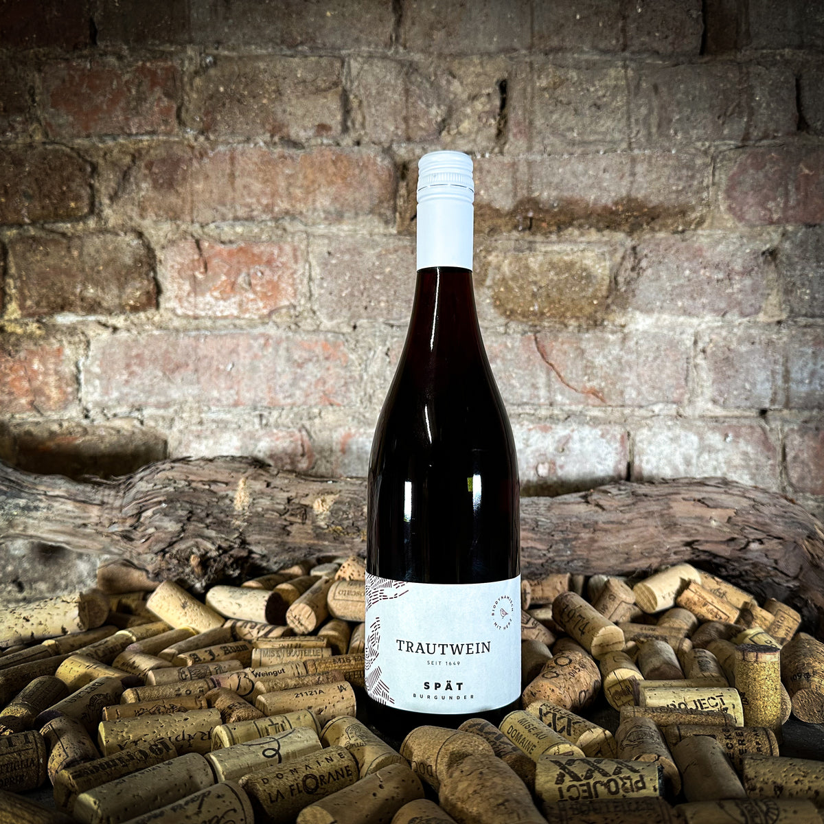 Trautwein - SPÄTburgunder