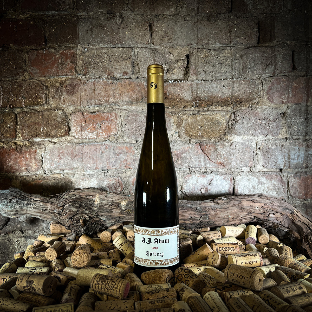 A.J. Adam - Hofberg Riesling Großes Gewächs 2019