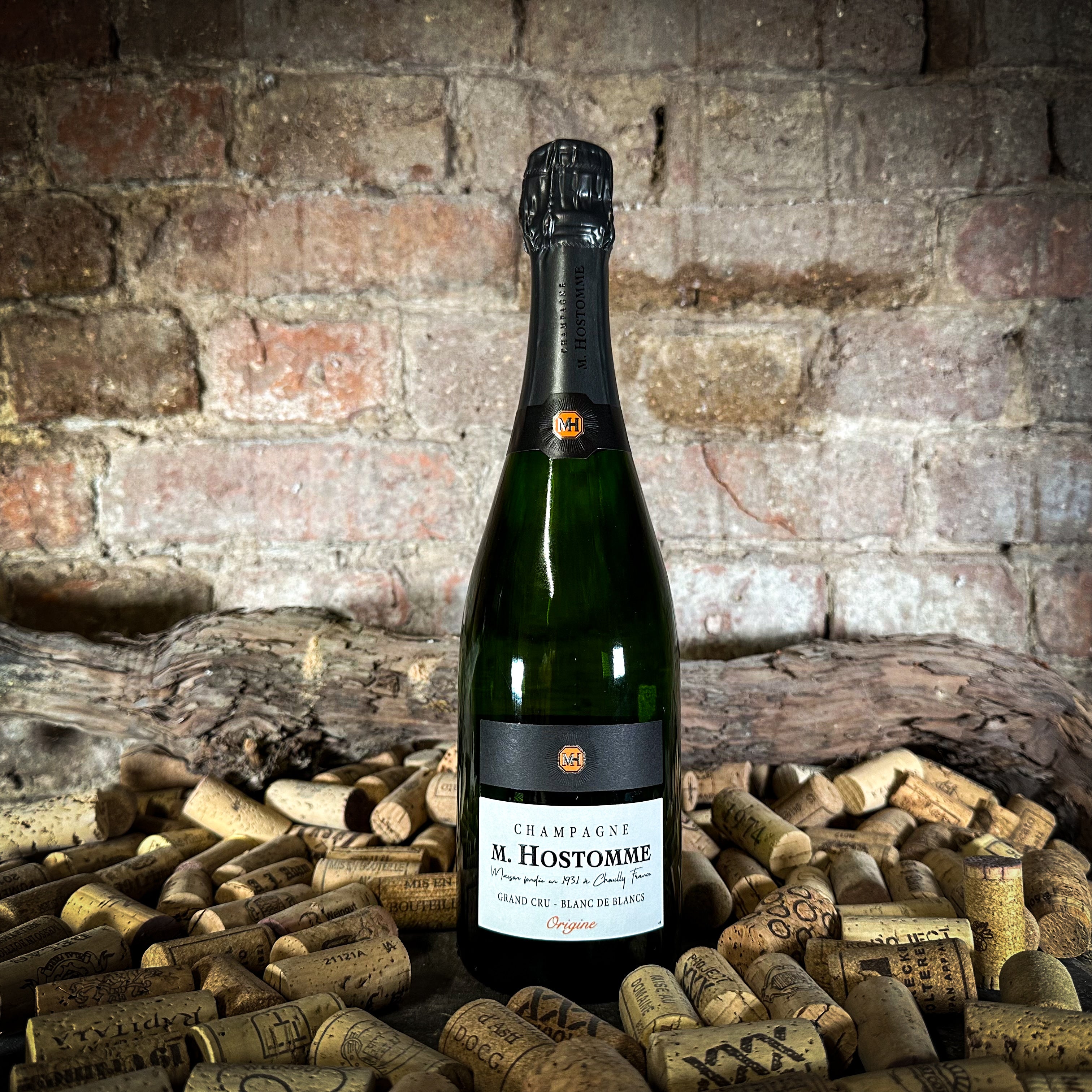 Champagne M. Hostomme - Champagne Brut Blanc de Blancs 