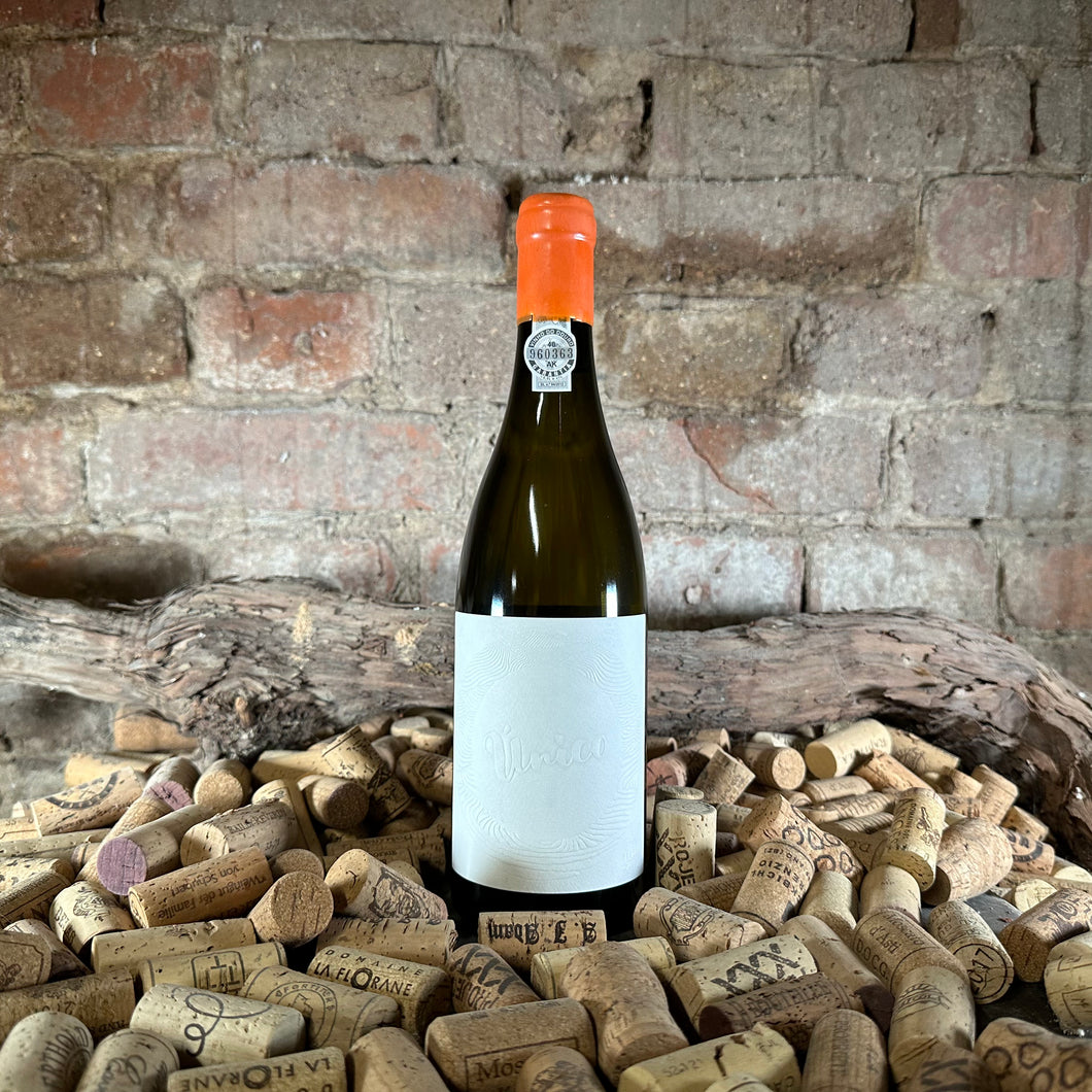 Coceito Vinhos - Unico Branco